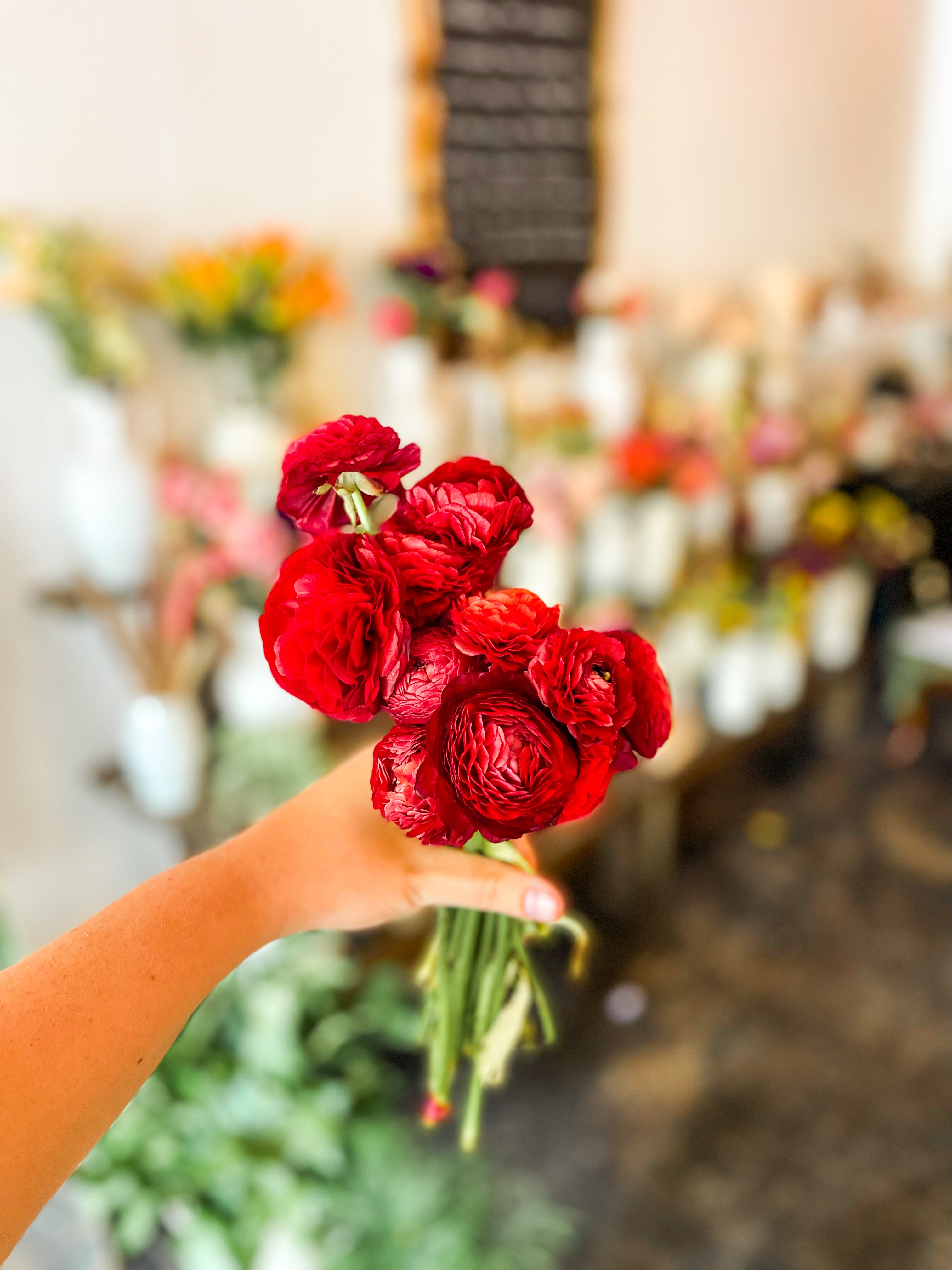 Recxd Ranunculus Ranunculus (Red) – Sweet Peony Florals & Events