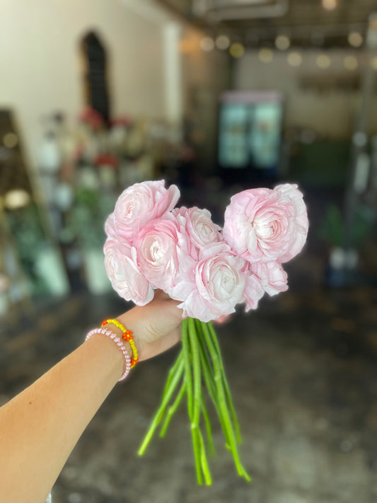 Ranunculus (Pink)